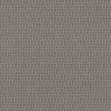 Shaw Floors Pet Perfect Plus Crafted Embrace Net Harbor Dock