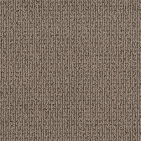 Shaw Floors Pet Perfect Plus Crafted Embrace Net Raw Wood