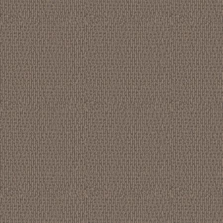 Shaw Floors Pet Perfect Plus Crafted Embrace Net Chestnut