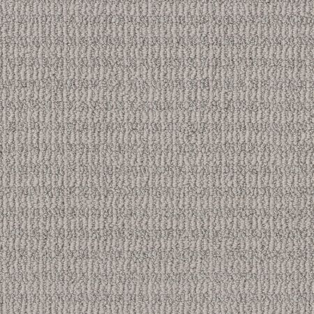 Shaw Floors Pet Perfect Plus Chic Elevation Net Sentimental