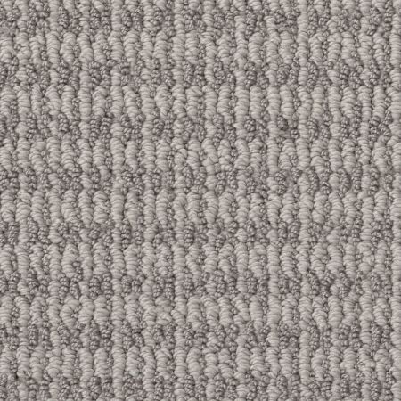 Shaw Floors Pet Perfect Plus Chic Elevation Net Split Sediment