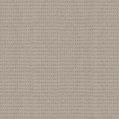 Shaw Floors Pet Perfect Plus Chic Elevation Net Sandstone