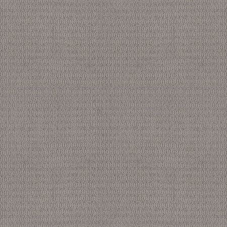 Shaw Floors Pet Perfect Plus Chic Elevation Net Harbor Dock