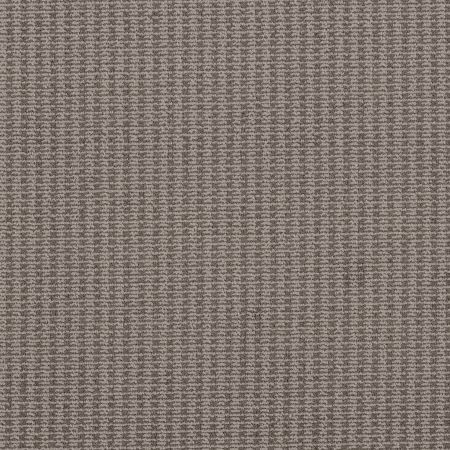 Shaw Floors Pet Perfect Plus Chic Elevation Net Stormy Breeze