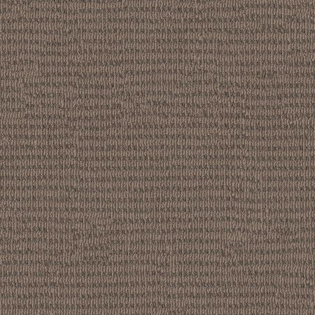 Shaw Floors Pet Perfect Plus Chic Elevation Net Chestnut