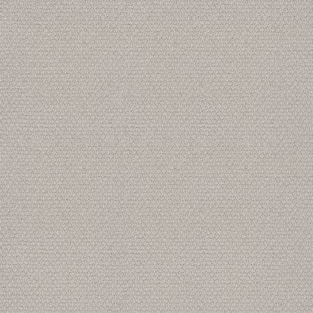 Shaw Floors Value Collections Channeling Net Minimal