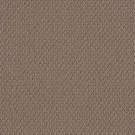 Shaw Floors Value Collections Channeling Net Bird House