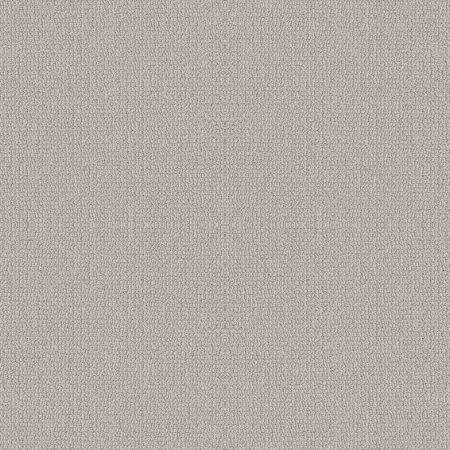 Shaw Floors Value Collections Embellished Net Aircraft