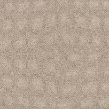 Shaw Floors Value Collections Embellished Net Malibu Dune