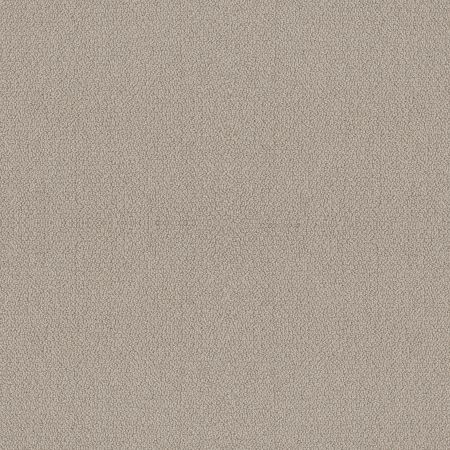 Shaw Floors Value Collections Embellished Net Birch