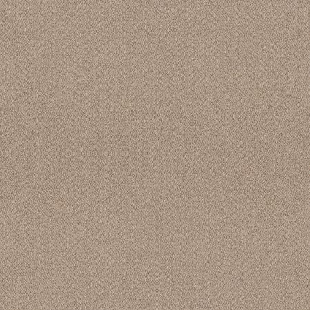 Shaw Floors Value Collections Embellished Net Thatched Roof