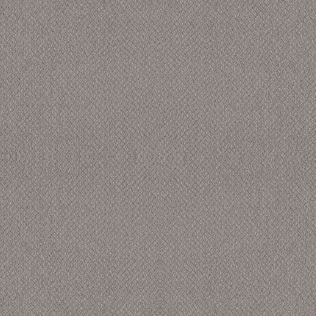 Shaw Floors Value Collections Embellished Net Cathedral