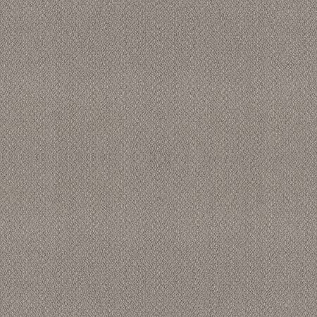 Shaw Floors Value Collections Embellished Net Asteroid