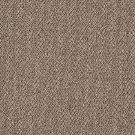 Shaw Floors Value Collections Embellished Net Raw Wood