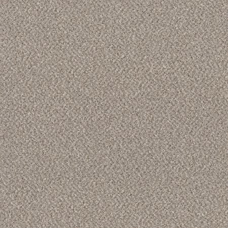 Shaw Floors Mix'd Essentials Sandstone(t)