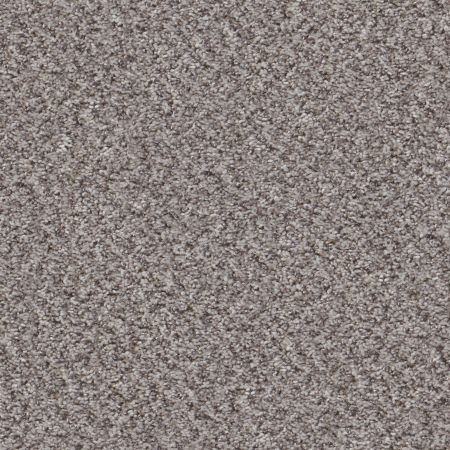 Shaw Floors Mix'd Essentials Soft Pewter(a)