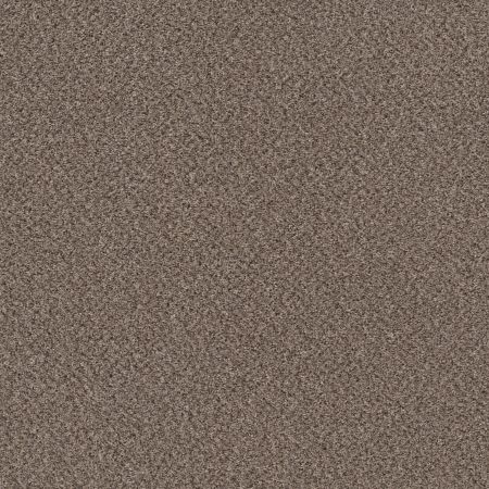 Shaw Floors Mix'd Essentials Burro Brown(a)