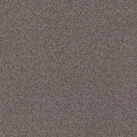 Shaw Floors Mix'd Essentials Nomadic Desert(a)