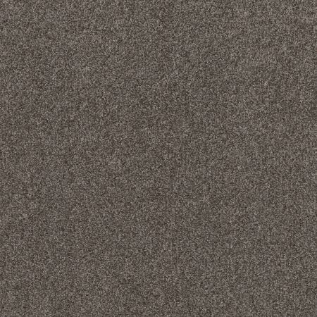 Shaw Floors Spirited Smoke Embers