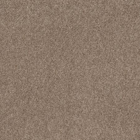 Shaw Floors Spirited Raw Wood