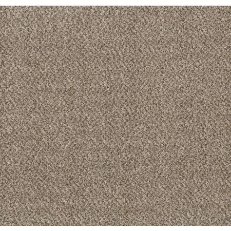 Shaw Floors Basic Mix Beach Pebble