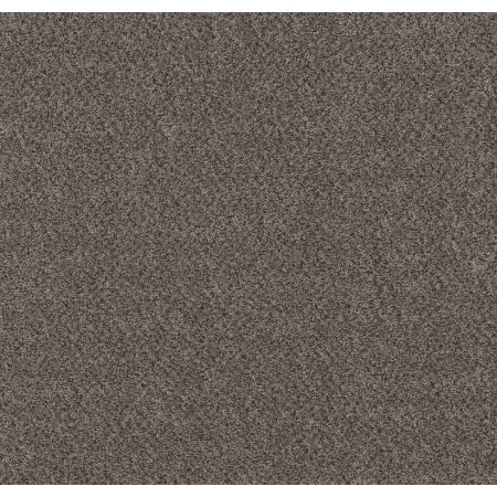 Shaw Floors Basic Mix River Shale