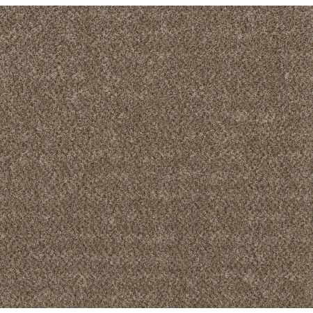 Shaw Floors Basic Mix Raw Wood