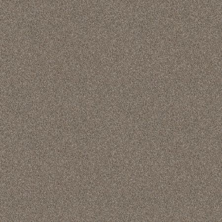 Shaw Floors Tenacious Win Nutria