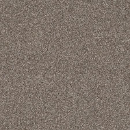 Shaw Floors Tenacious Win Nature Trail