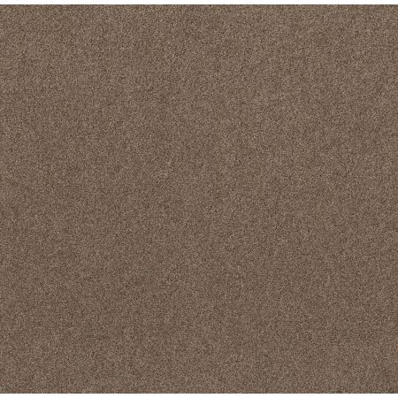 Shaw Floors Live On Comfort Classic Caramel