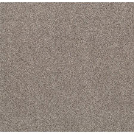 Shaw Floors Value Collections Live On Comfort Net Afterglow