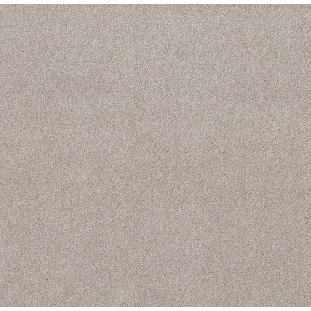 Shaw Floors Value Collections Live On Comfort Net Brushed Aluminum