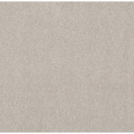 Shaw Floors Value Collections Live On Comfort Net Horizon