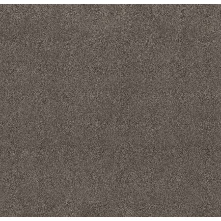 Shaw Floors Value Collections Live On Comfort Net Woodcliff Brown