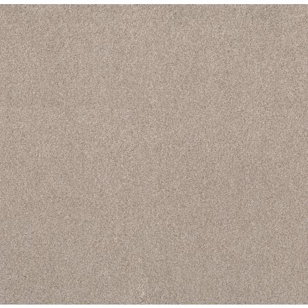 Shaw Floors Value Collections Live On Comfort Net Warm Sand