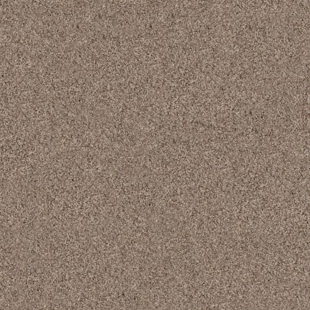 Shaw Floors Value Collections Live On Comfort Net Hillcrest Tan