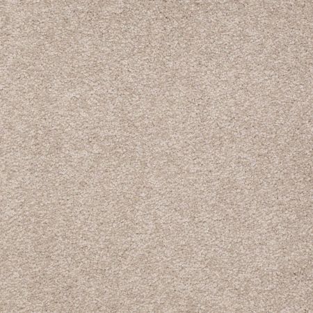 Shaw Floors Value Collections Sandy Hollow Classic Iv 15' Ne Soft Shadow