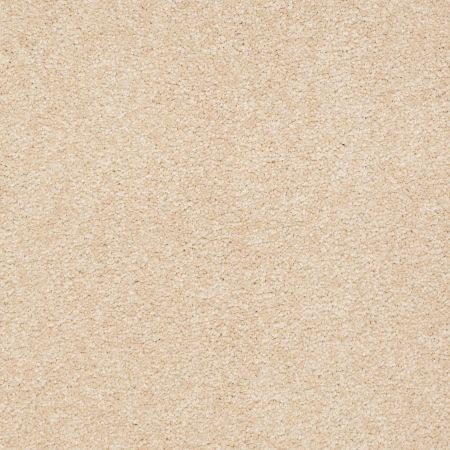 Shaw Floors Value Collections Sandy Hollow Classic Iv 15' Ne Marzipan