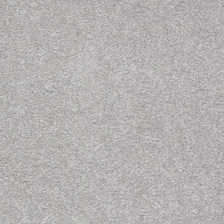 Shaw Floors Value Collections Sandy Hollow Classic Iv 15' Ne Silver Charm