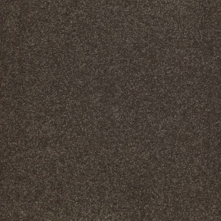 Shaw Floors Value Collections Sandy Hollow Classic Iv 15' Ne Arrowhead