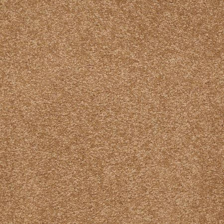 Shaw Floors Value Collections Sandy Hollow Classic Iv 15' Ne Peanut Brittle