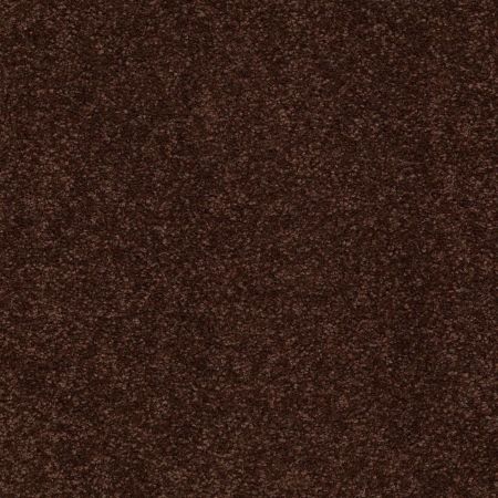 Shaw Floors Value Collections Sandy Hollow Classic Iv 15' Ne Coffee Bean