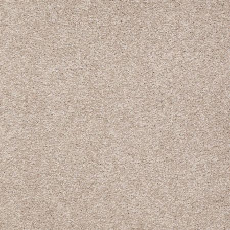 Shaw Floors Value Collections Sandy Hollow Classic I 15' Net Soft Shadow