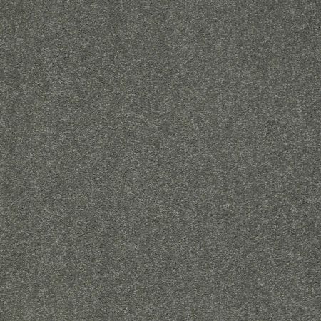 Shaw Floors Value Collections Sandy Hollow Classic I 15' Net Bahama Bay