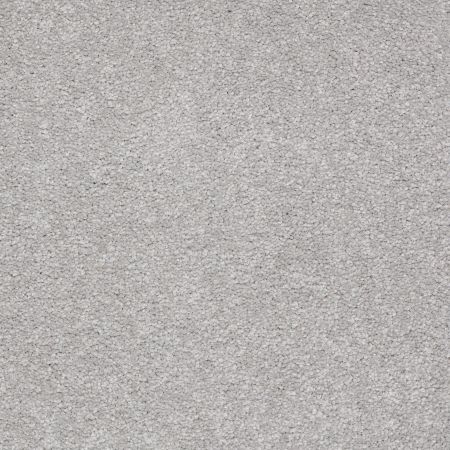 Shaw Floors Value Collections Sandy Hollow Classic I 15' Net Silver Charm