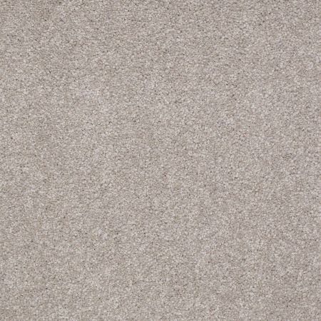 Shaw Floors Value Collections Sandy Hollow Classic I 15' Net London Fog