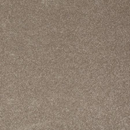 Shaw Floors Value Collections Sandy Hollow Classic I 15' Net Wood Smoke