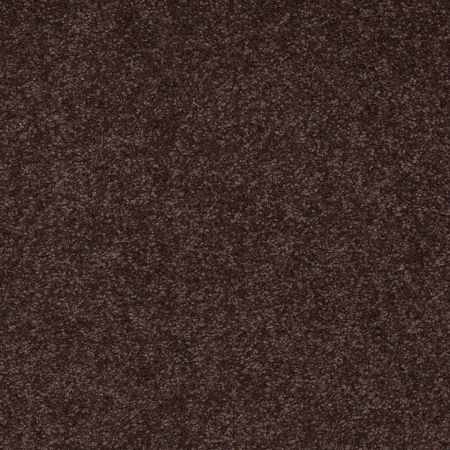 Shaw Floors Value Collections Sandy Hollow Classic I 15' Net Tundra