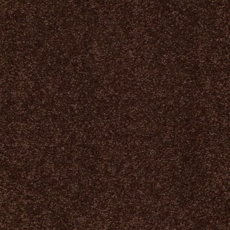 Shaw Floors Value Collections Sandy Hollow Classic I 15' Net Coffee Bean