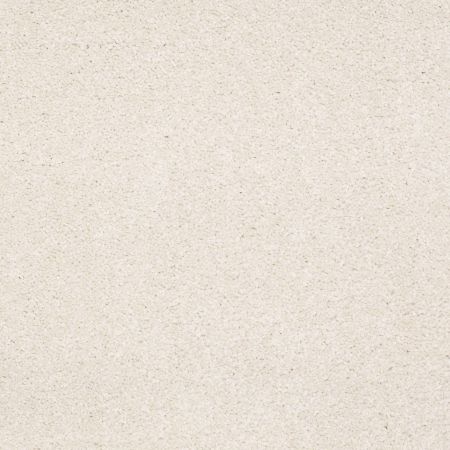 Shaw Floors Value Collections Sandy Hollow Classic II 15 Net Mushroom